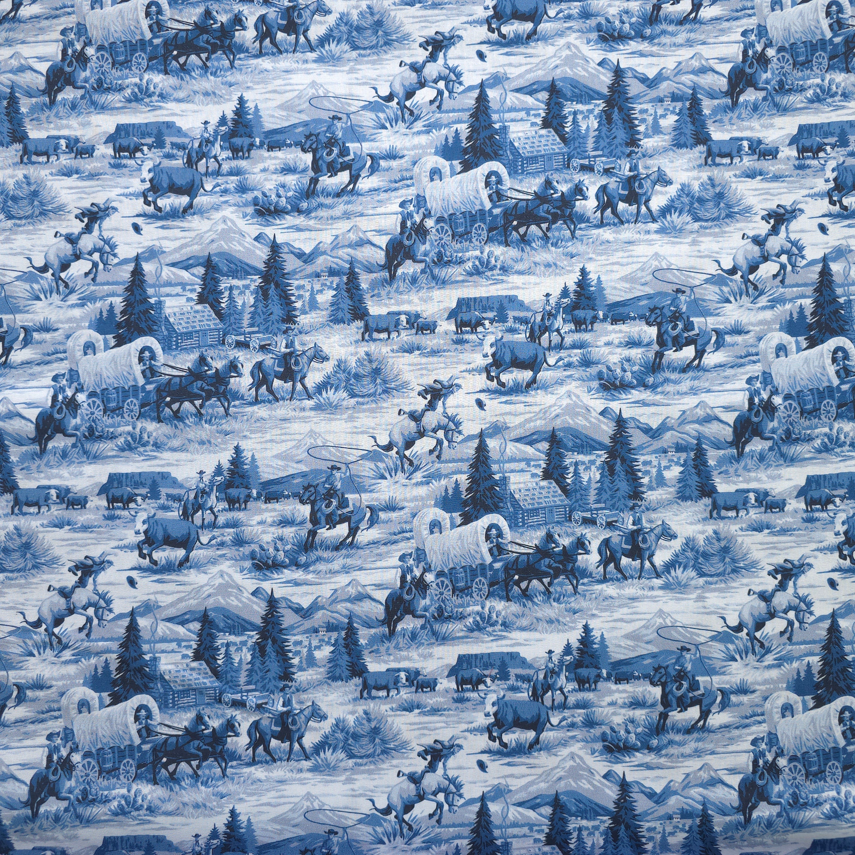 Early Access | Wild West Blues Scrub Cap | Euro, Ponytail, Surgical