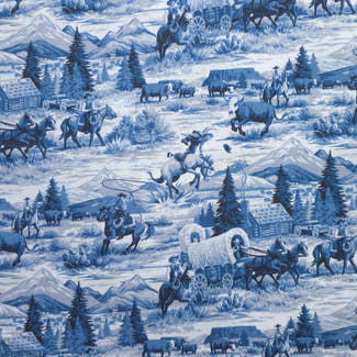 Early Access | Wild West Blues Scrub Cap | Euro, Ponytail, Surgical