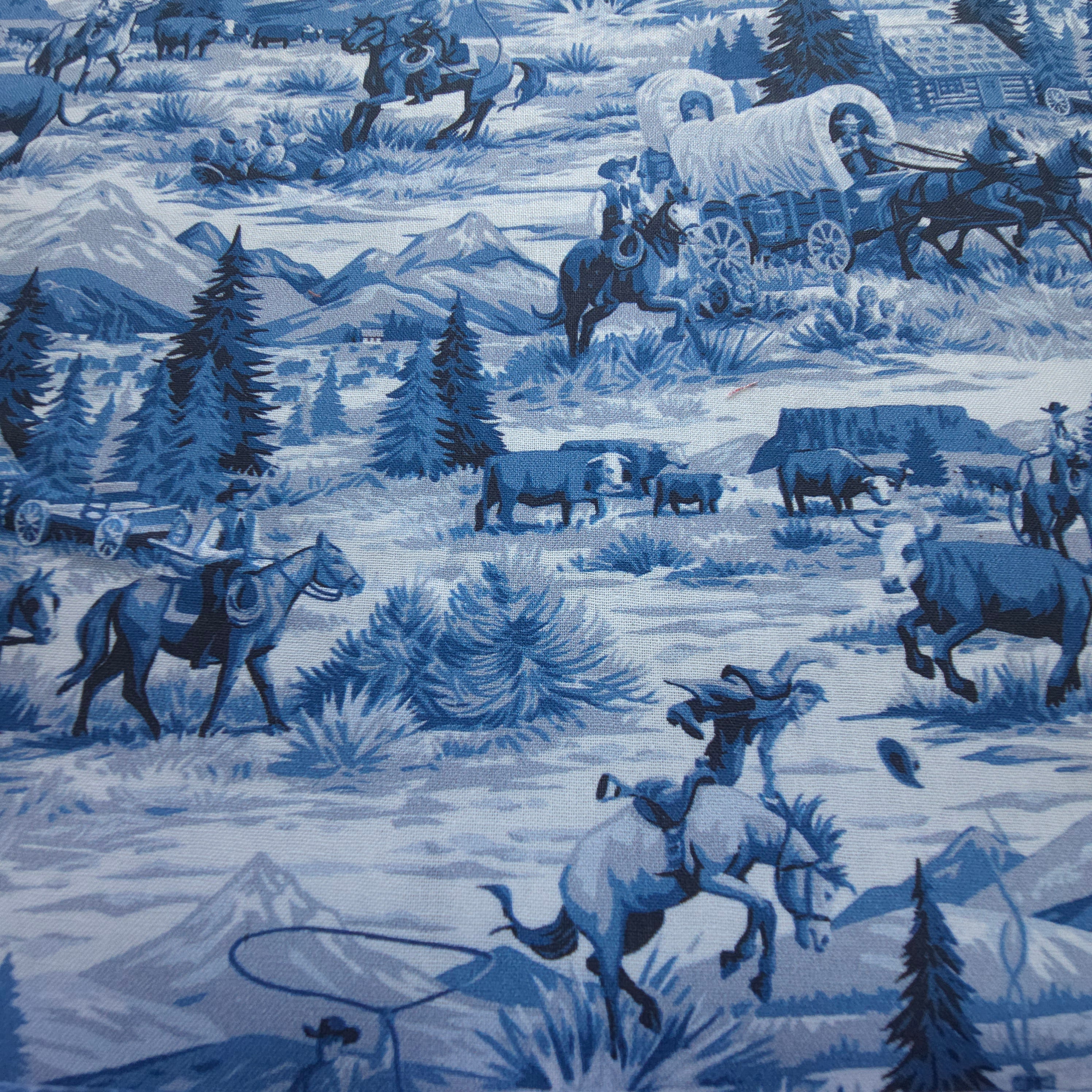 Early Access | Wild West Blues Scrub Cap | Euro, Ponytail, Surgical